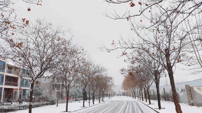 【新诗大观】观雪（诗五首）||文/张纪军