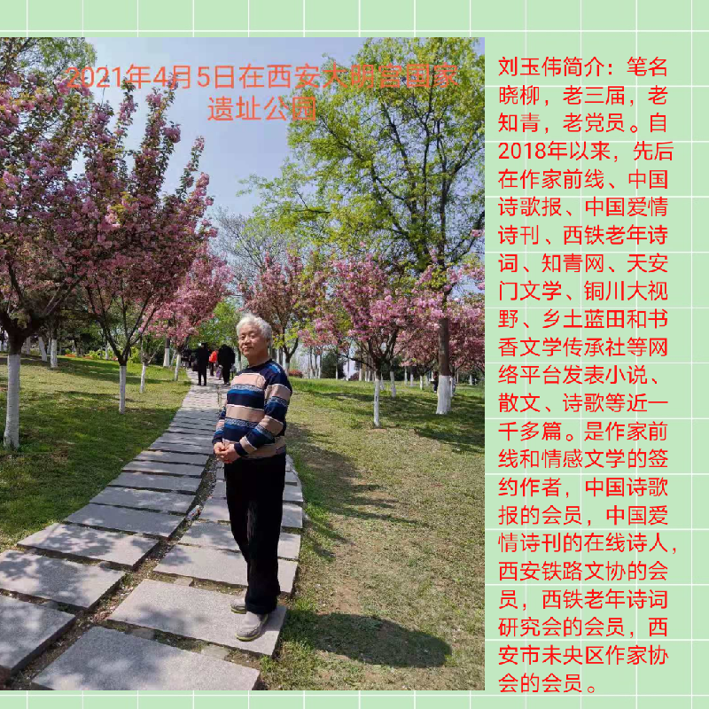 （散文诗）中国出了个毛泽东 ——纪念毛主席诞辰128周年（刘玉（图7）