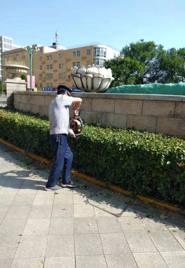 南郡水岸:一切为了业主的舒适、温馨和安全(图16)