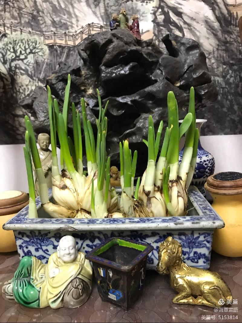 冬日生活筆記 作者 萧軍〔陕西〕【冰心文化传媒】（图24）