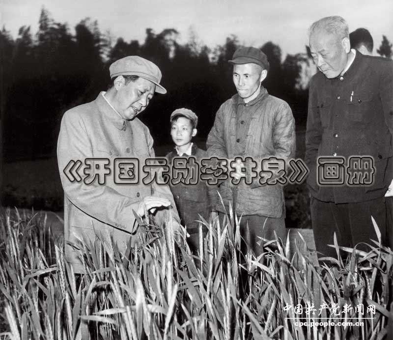 【潇湘文学社】潇湘陶菊诗社《纪念毛主席诞辰128周年专刊》(总243期)(图11)