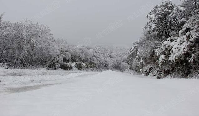 观雪景绝句‖诗人廖尚光（图3）