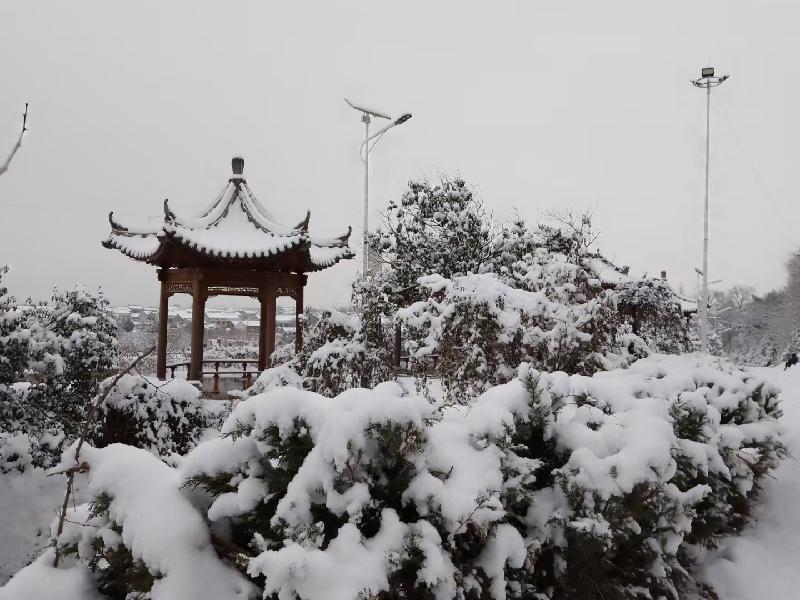 吕义孝（文•图）||雪之韵（图7）