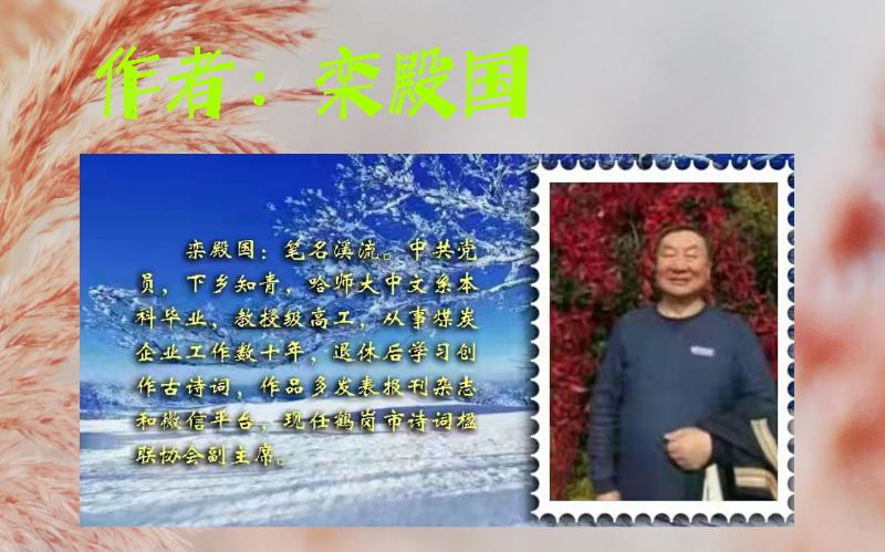 瑶音增雅韵.瑞雪兆丰年喜迎2022年“鹤岗市诗词朗诵会”第一篇章【北疆头条】(第138期)(图22)
