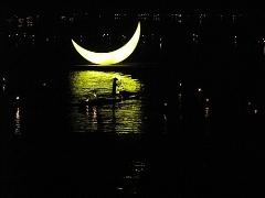 【诗生活】蒲公英‖冬夜星语(外二首)
