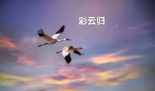 心中的云：作者丁培恭｜海外头条（图7）