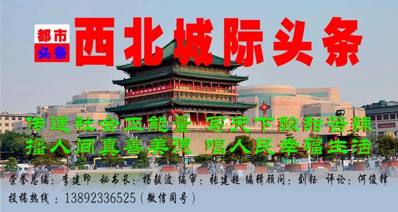 《年末特写》心疼与感动:作者/王福兰(陕西西安)(图2)