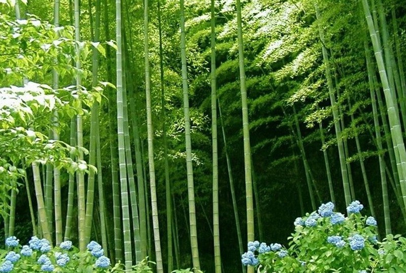 〔诗词小辑〕作者 徐荣峰（上海）【冰心文化传媒】（图6）