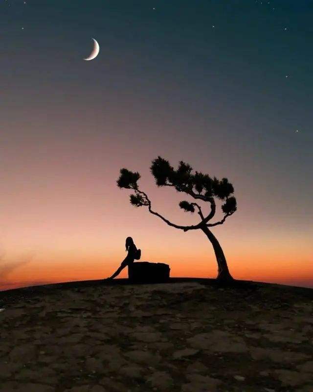 现代诗《曾经的夜晚》作者郭玉森（河南洛阳）