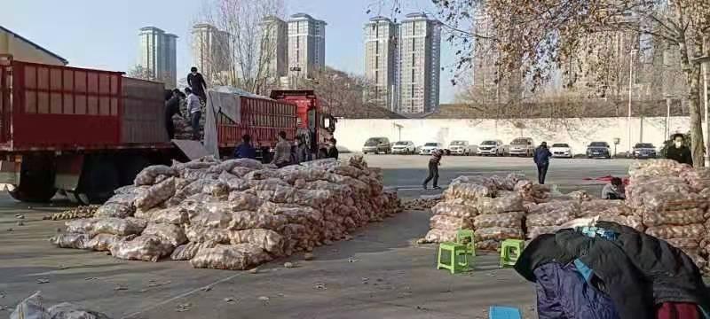 《西安防控》陕北靖边：情满西安抗疫注大爱：文图／王世华 闫秀兰（陕西西安）（图15）