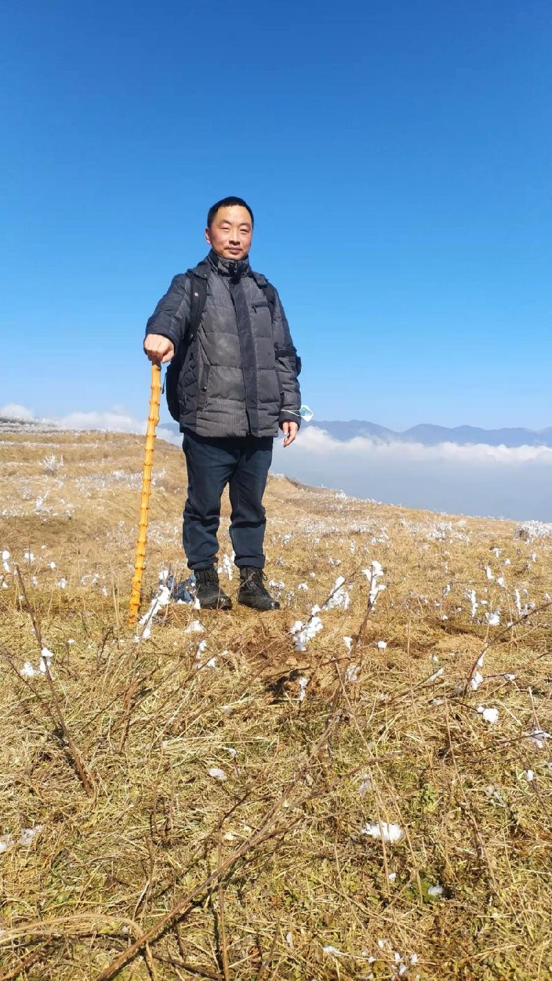 头行梁子冰加雪 *攀登山野人更野 作者 铁裕(云南【冰心文化传媒】(图13)