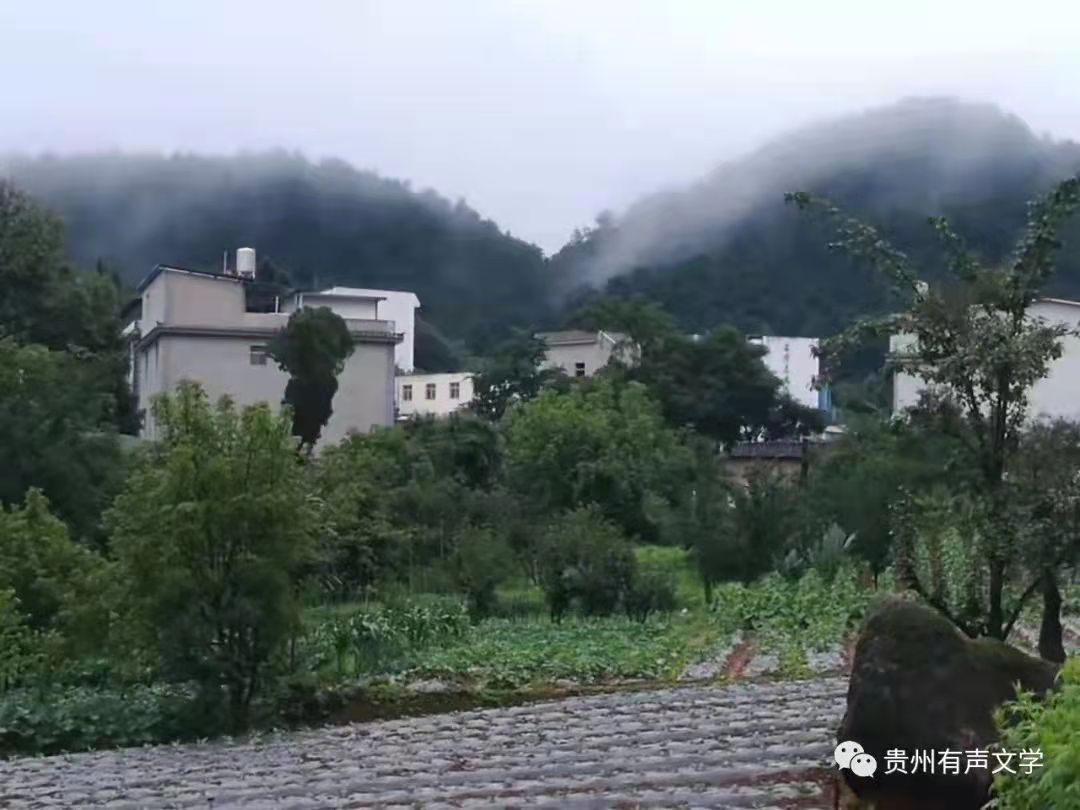 寰俊鍥剧墖_20220102215844.jpg