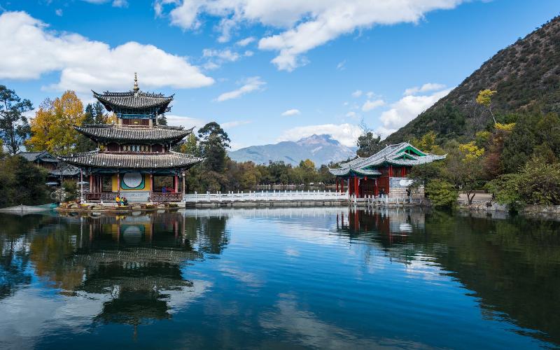 李祖龙虎年力作《丽江吟》（图11）