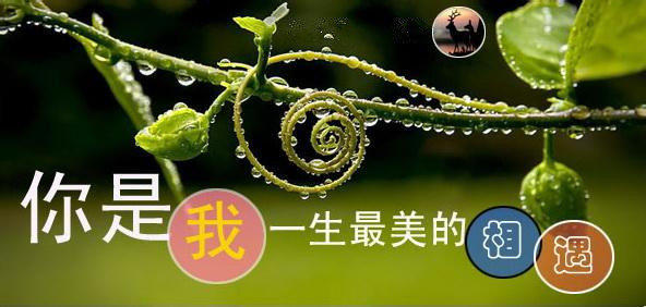 《闲言碎语话冬趣》(五十四)新年祝福 乡音