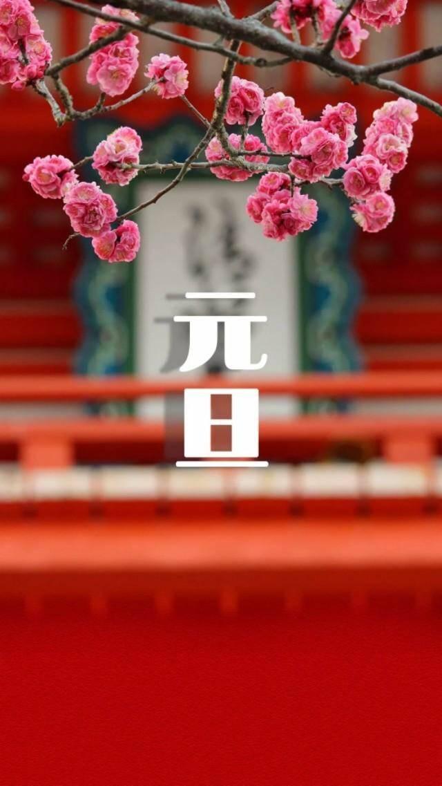 七律～年 (孤雁入群)文/崔国维