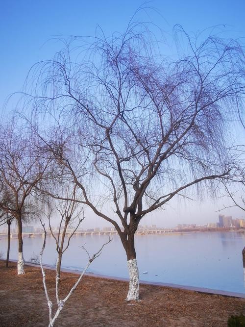【潇湘文学社】潇湘芙蓉联社《06期》对句练习作品汇编（总251期）（图13）