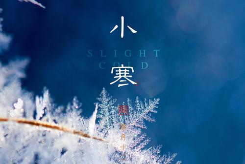 【新诗大观】小寒||文/惊鸿照影
