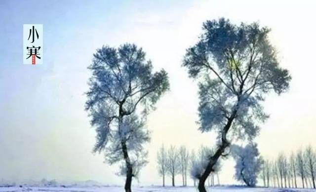 小寒诗词三首 王香谷（澳大利亚）【冰心文化传媒】（图3）