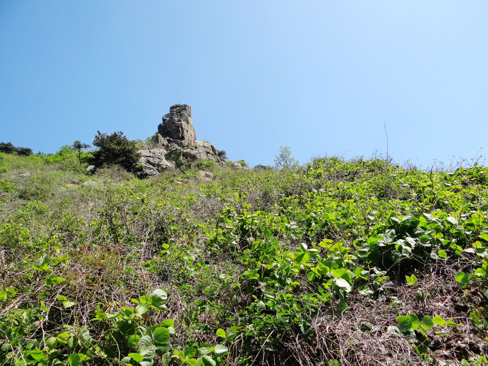 DSC03546.jpg
