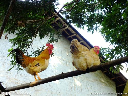 吴宝金老师佳作欣赏！（图5）