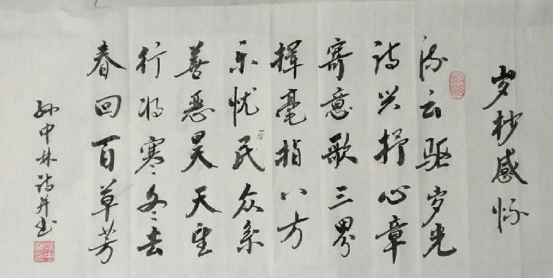 华夏流水诗社‖常驻诗人“听蝉”老师专辑（图9）