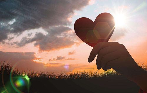 【新诗大观】爱的光芒||文/花惜柔||诵/李保红(图4)