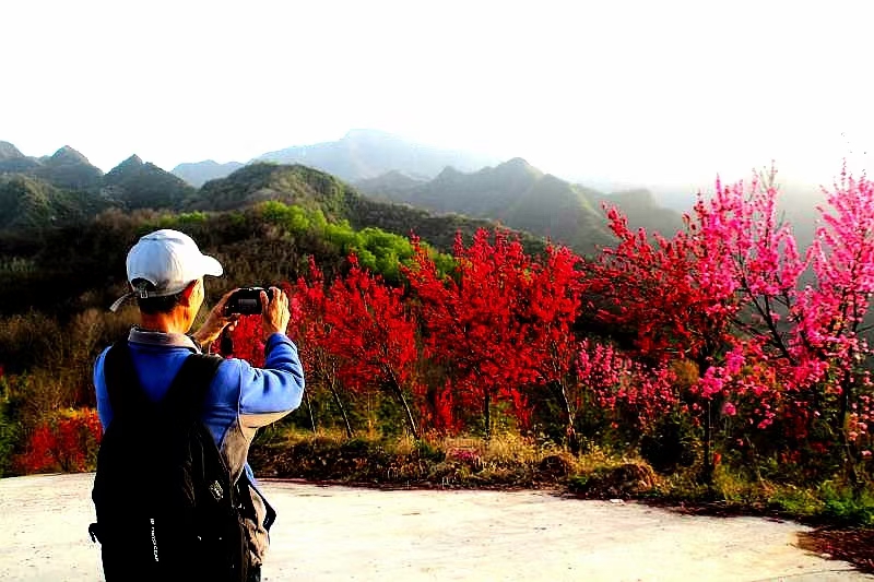 吕义孝||(图•文)迷人的周至翠峰山(图12)