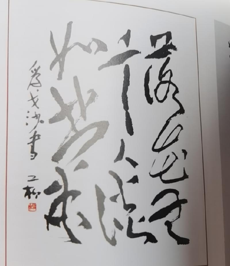 【雅诗总会】精品★ 大雅无华鉴古今‖作者：景和 & 诵读：建宇（图10）