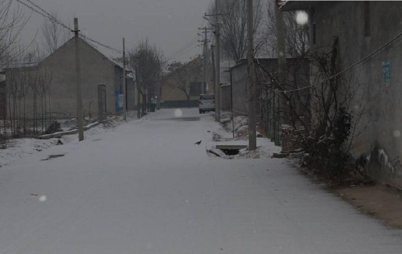 【同题】祈盼一场瑞雪降临:文/王福兰(陕西西安)(图4)