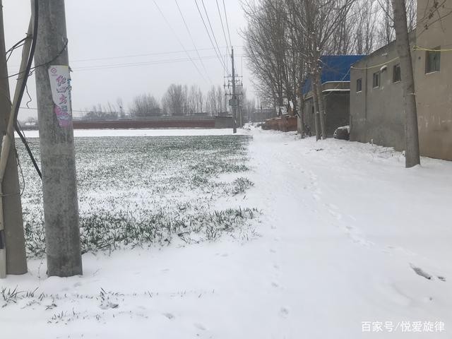 【同题】祈盼一场瑞雪降临:文/王福兰(陕西西安)(图7)