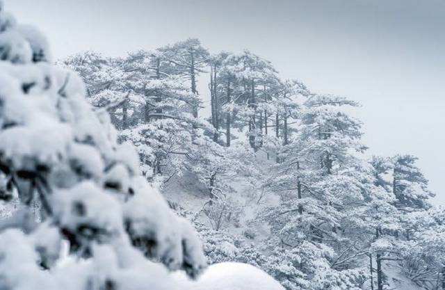 彤星诗词《临江仙.小雪后游园有感》金牌主播：月儿 编辑： 香乡【北疆头条】（第150期）（图3）