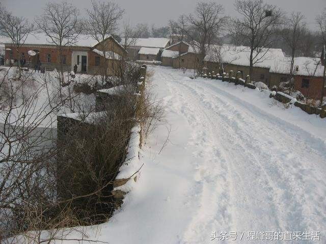 【同题】祈盼一场瑞雪降临:文/王福兰(陕西西安)(图5)