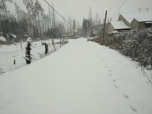 【同题】祈盼一场瑞雪降临:文/王福兰(陕西西安)(图8)