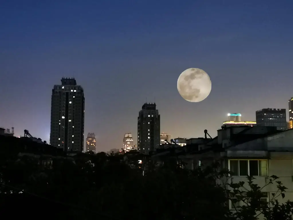 诗朗诵:故乡水坑中那一轮明月 作者/小蛇 主播/幸福奶奶 请欣赏(图6)
