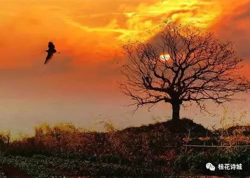 《把故乡等成一棵树》作者汪杰合诵【五月的鲜花诗歌朗诵艺术团】&【咸宁诗人朗诵团】 编辑制作刘林丽(图4)