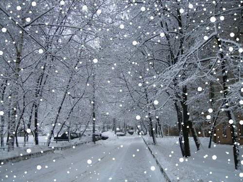 【潇湘文学社】潇湘陶菊诗社《雪》(总258期)(图11)