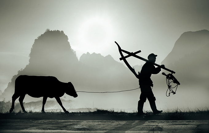 读史 ／江冲（图6）