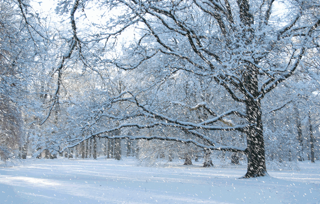 腊八快乐世界作家海内外名家名流名品典藏1878
