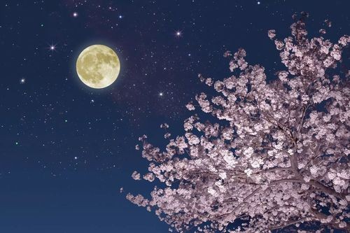 《九江文学社:北京头条》思恋 文/书乐(原创首发)(图3)