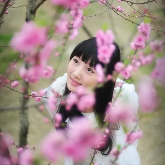 贺树元:律诗八首 请欣赏(图8)