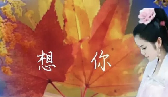 【新诗大观】想你,是我最美的回忆||作者:惊鸿照影/秋风||主播:往事如烟/苍狼