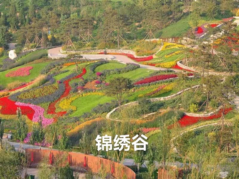 庐山行（叙事散文诗）作者｜丁培恭｜海外头条（图10）