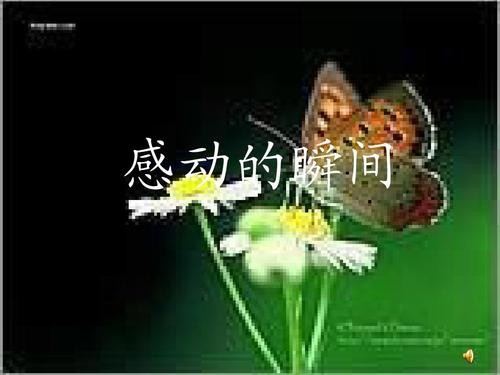 【九江文学社：北京头条】《岁末寄语 》 文/放飞（图3）