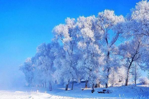 七律.大雪(上平十灰)作者/杨清秀（图2）