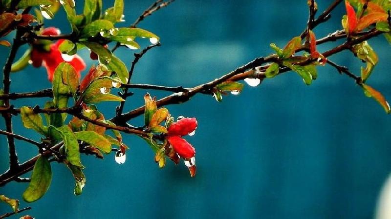 【重磅推出】于凤海老师//新春絮语{散文}(图12)