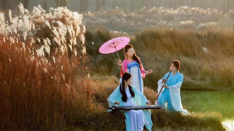 金华南山诗社孔飞老师 苇花随笔十首（图6）