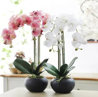 朱守平：诗词专辑 请欣赏（图8）