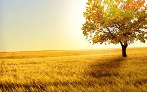 江南诗絮【古韵风采】0493(图9)