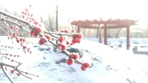 请欣赏诗人刘树岐诗歌十首（图8）