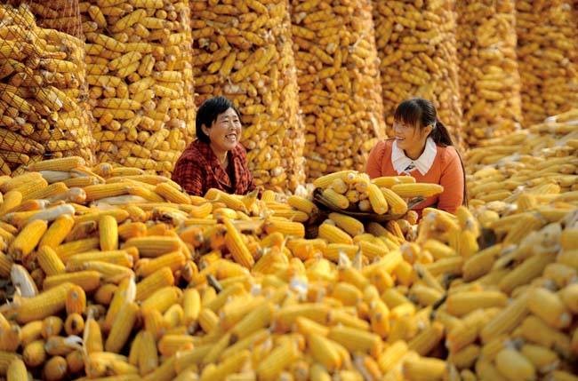 隆重推荐欣赏【九江文学社:北京头条】张永良先生精品佳作(图5)